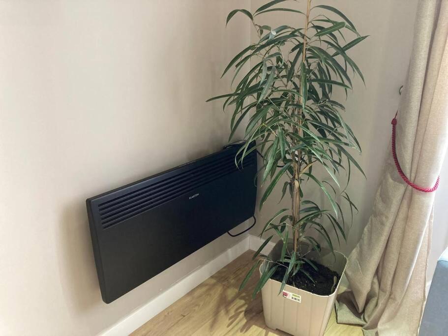 Apartament T 2 Calme&Douceur Tarbes Zewnętrze zdjęcie