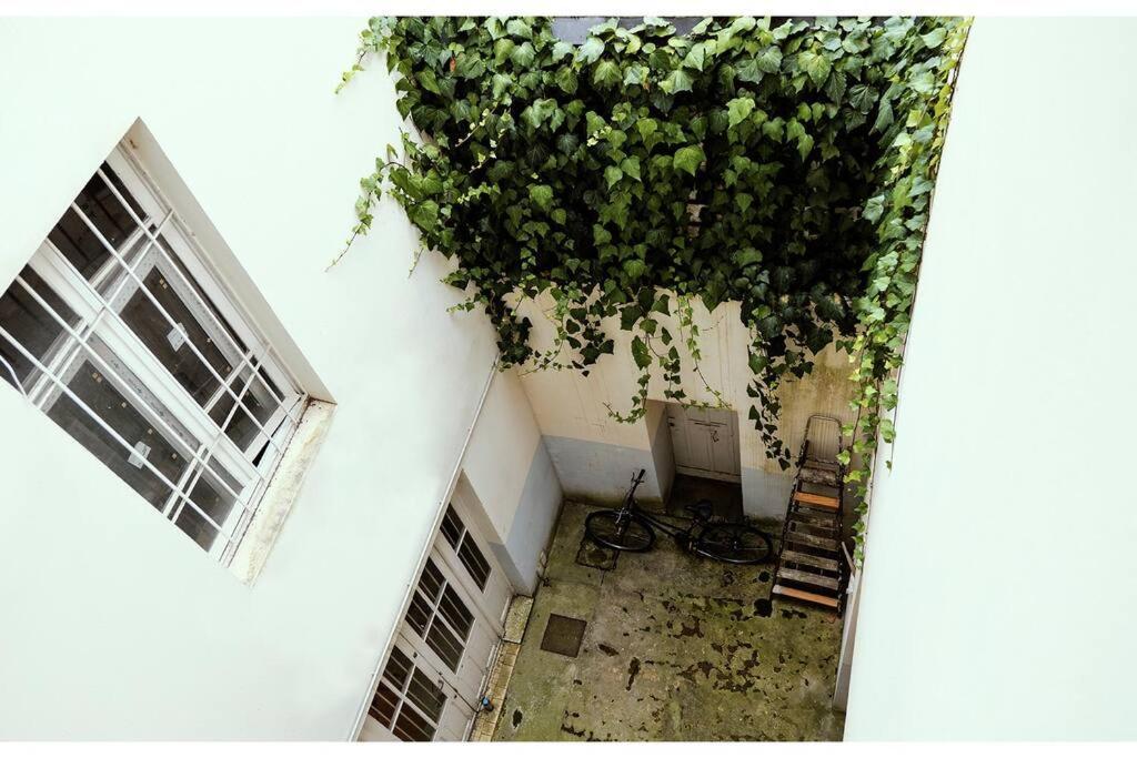 Apartament T 2 Calme&Douceur Tarbes Zewnętrze zdjęcie